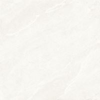 Dhara White Matte 48 x 48